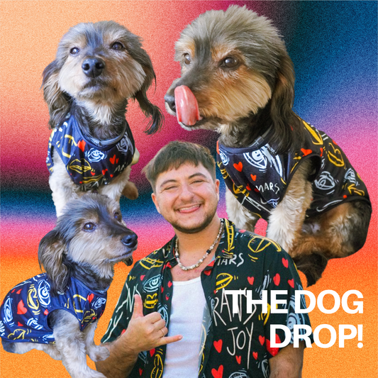 Dog Drop